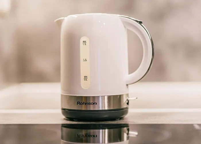 公寓 The Red Roof House 普罗夫迪夫